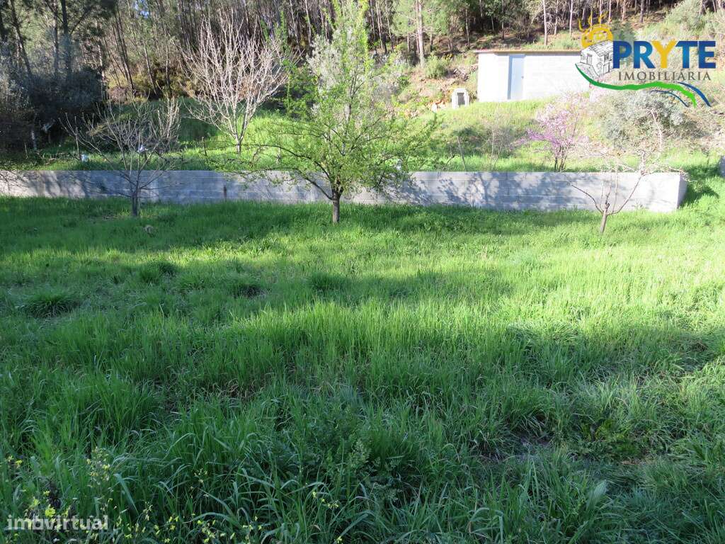 Terreno de cultivo a confinar com a Ribeira da Tamolha - Grande imagem: 2/14