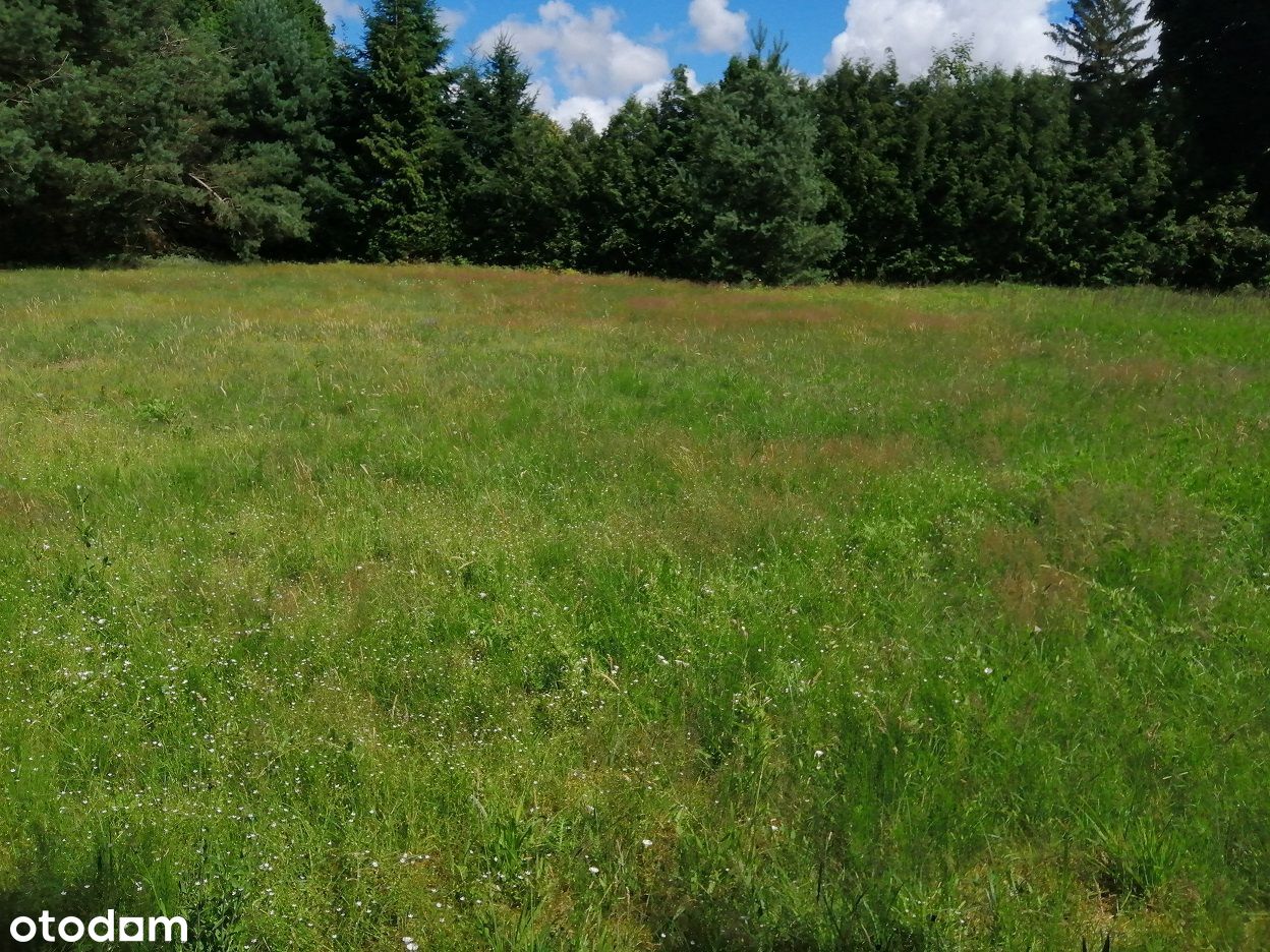 Działka otoczona lasem, 7 km od plaży, 4574 m2 - Pełny obrazek: 2/9