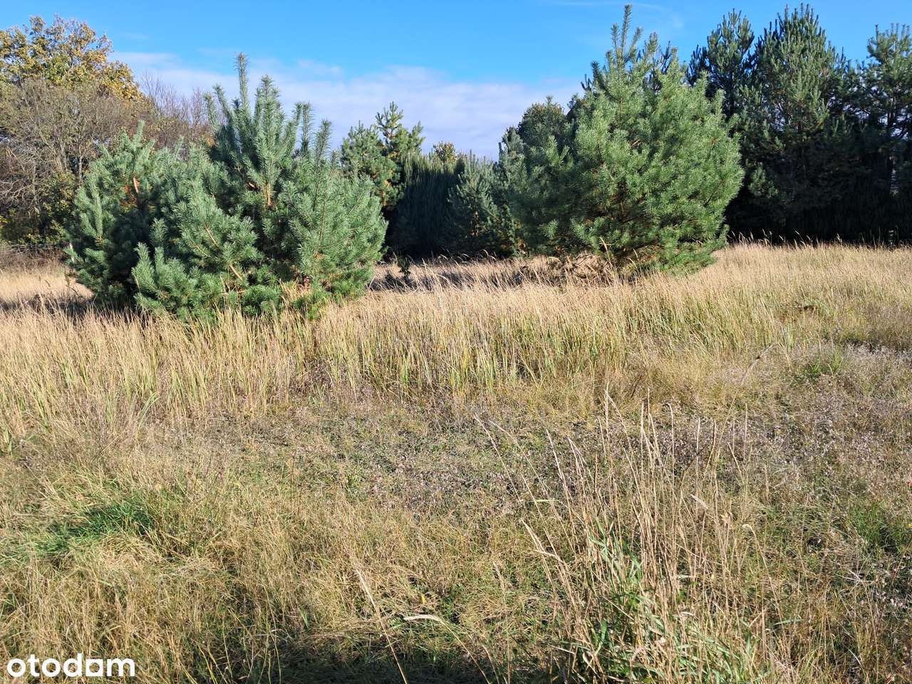 Piękna działka budowlana - Pełny obrazek: 5/7