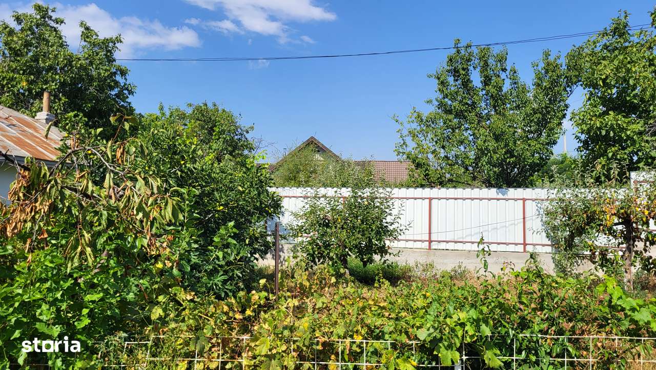 Casă de vânzare în mediul rural – liniște, natură și confort-12