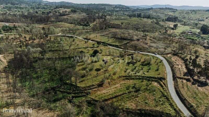 Terreno Rústico / Fundão, Pêro Viseu - Grande imagem: 3/16