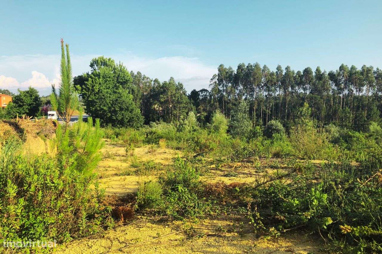 Terreno Rústico com viabilidade de construção | ERA Imobiliária - Grande imagem: 5/5