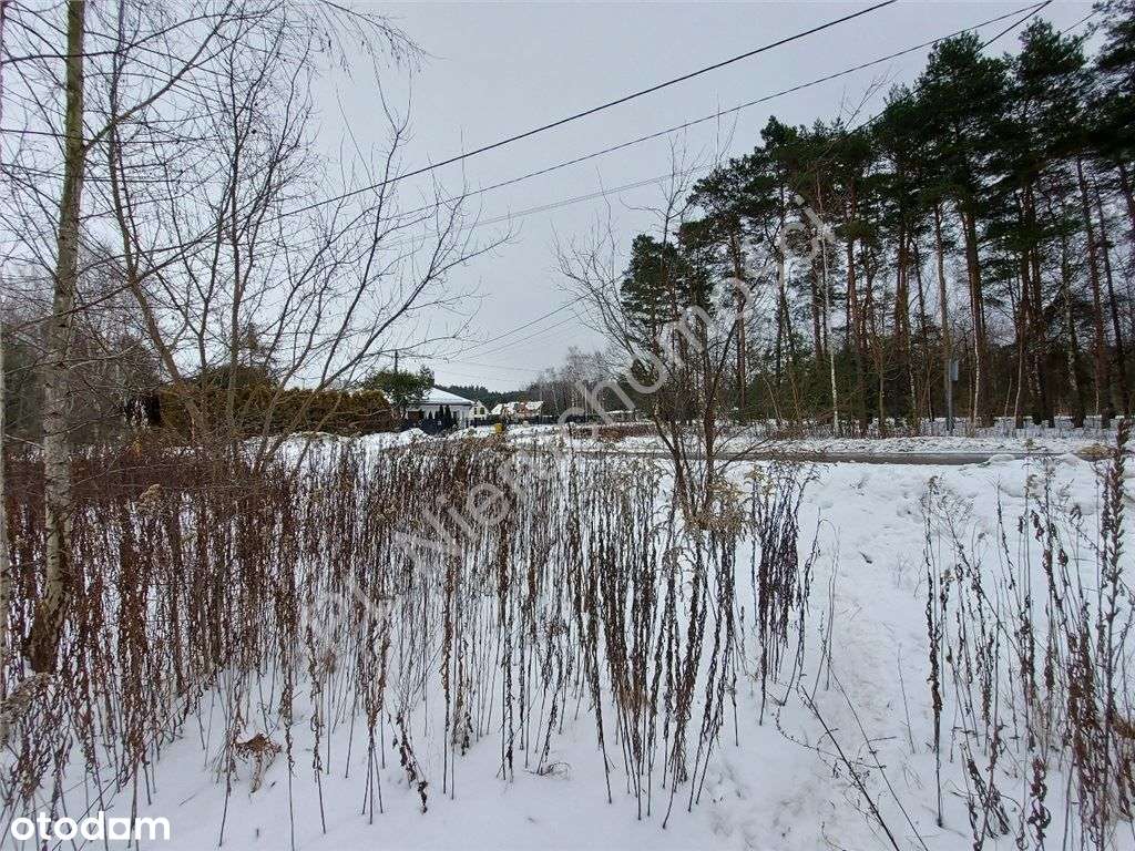 Plan Miejscowy, Wszystkie Media, Asfalt.-10