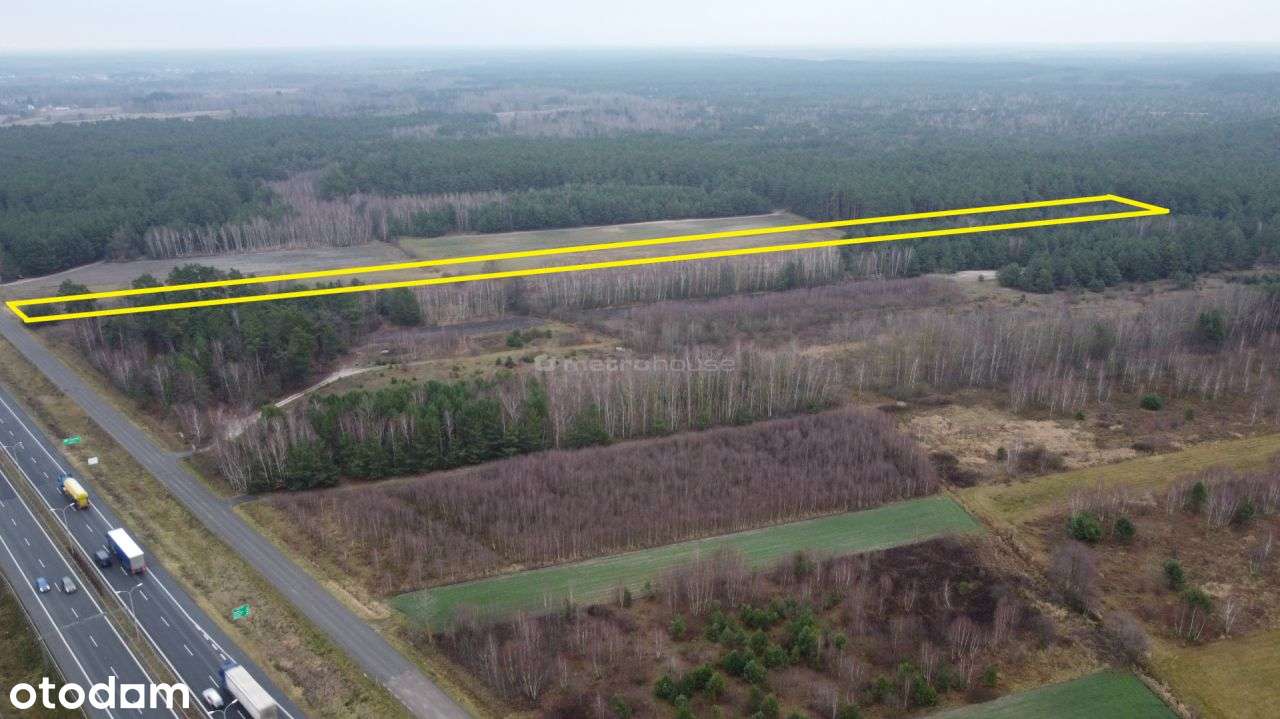 Działka, 8 053 m², Deskurów - Pełny obrazek: 4/7