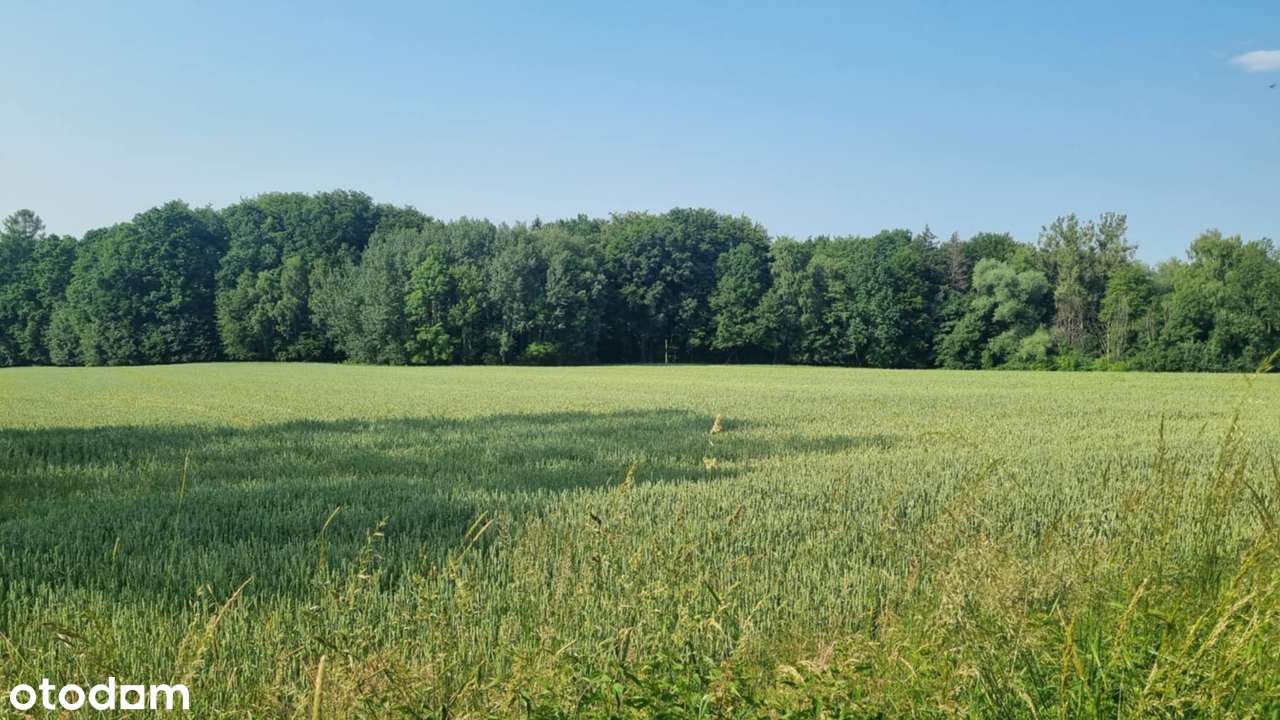 Siedlisko z budynkiem mieszkalnym w Ochabach Małych na sprzedaż.-17