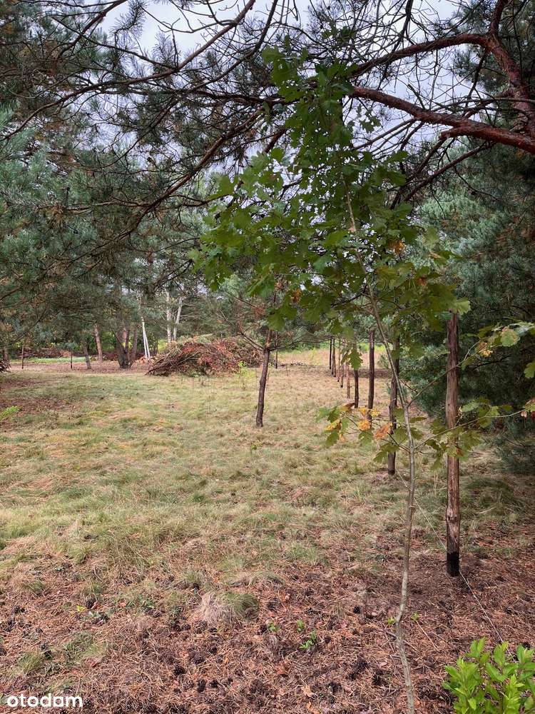 działka - Lipowo (gm. Wiązowna) - warunki zabudowy - Pełny obrazek: 5/8