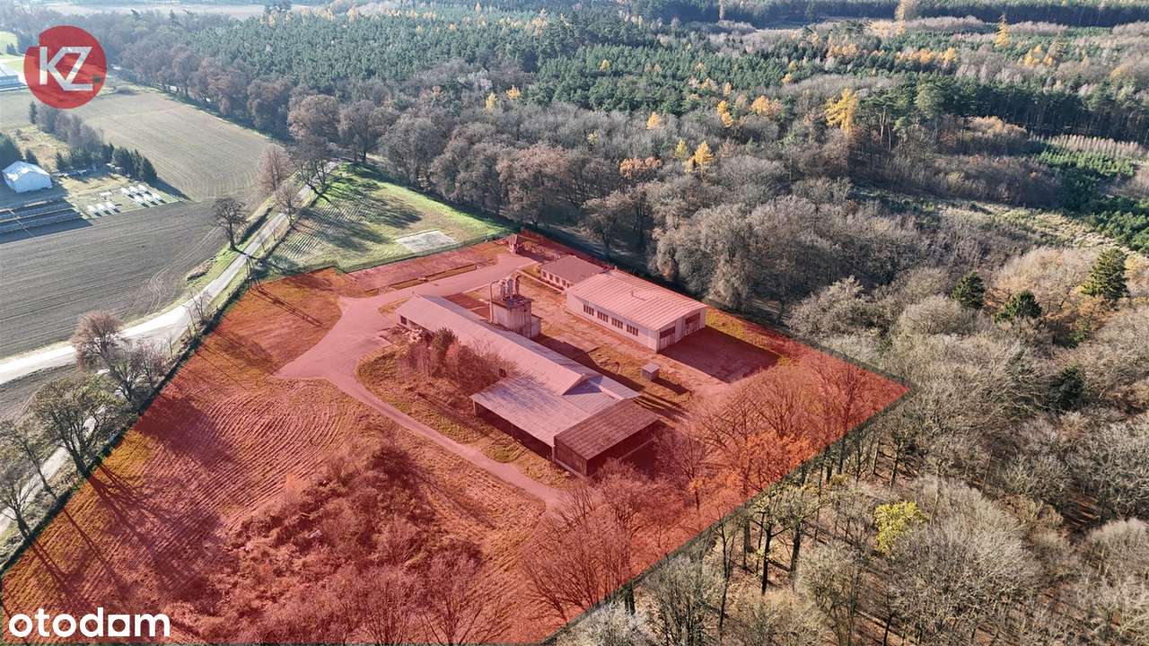 Obiekt na sprzedaż, Margonin (gw)-2