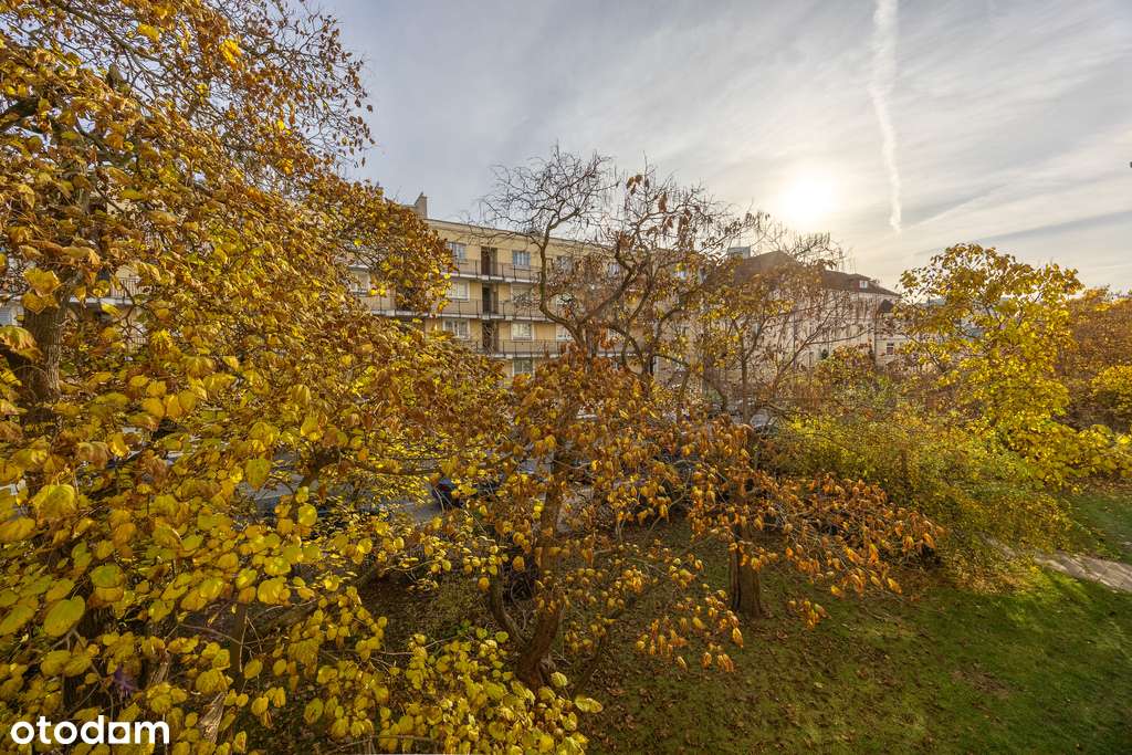 Muranów | Klimatyczne | Inwestycyjne-11