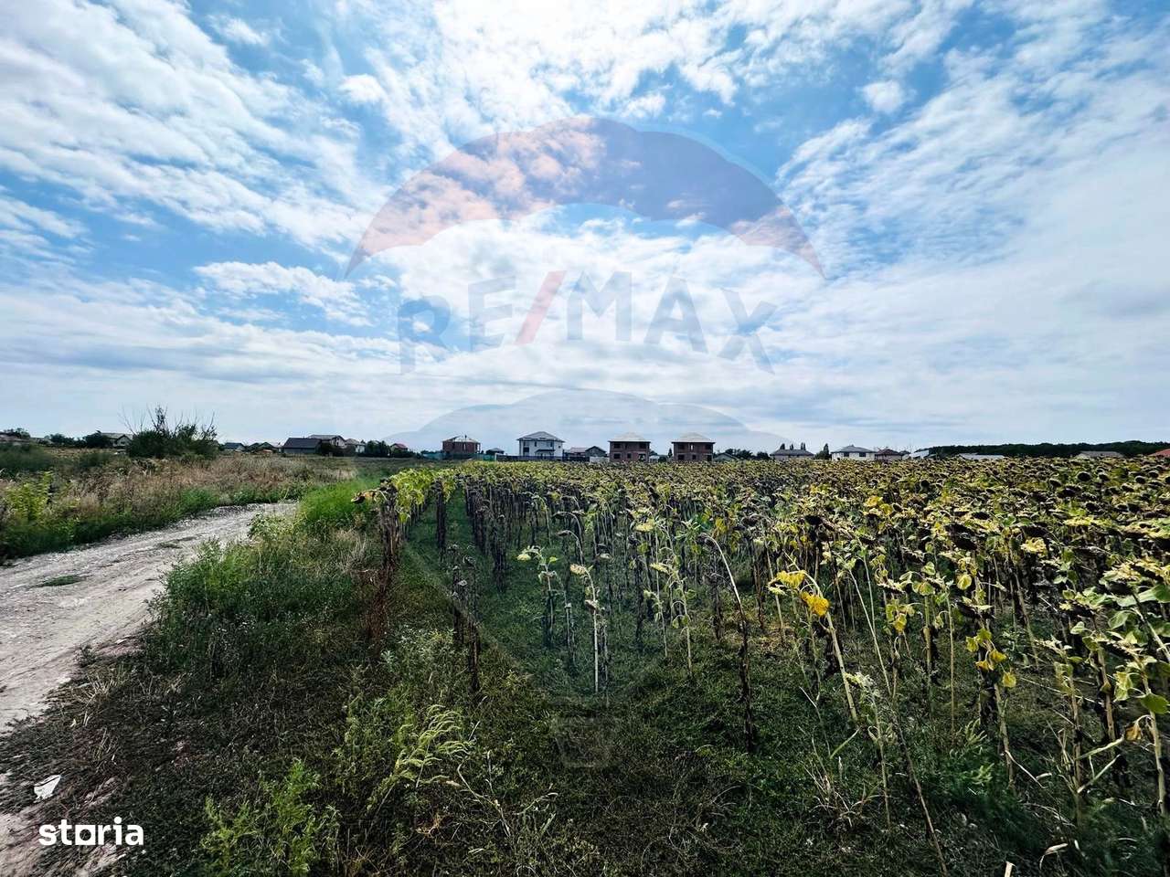 Teren 14.863mp, deschidere 42mp, acces 3 laturi - Ciorogarla, langa A0 - Imagine principală: 5/12