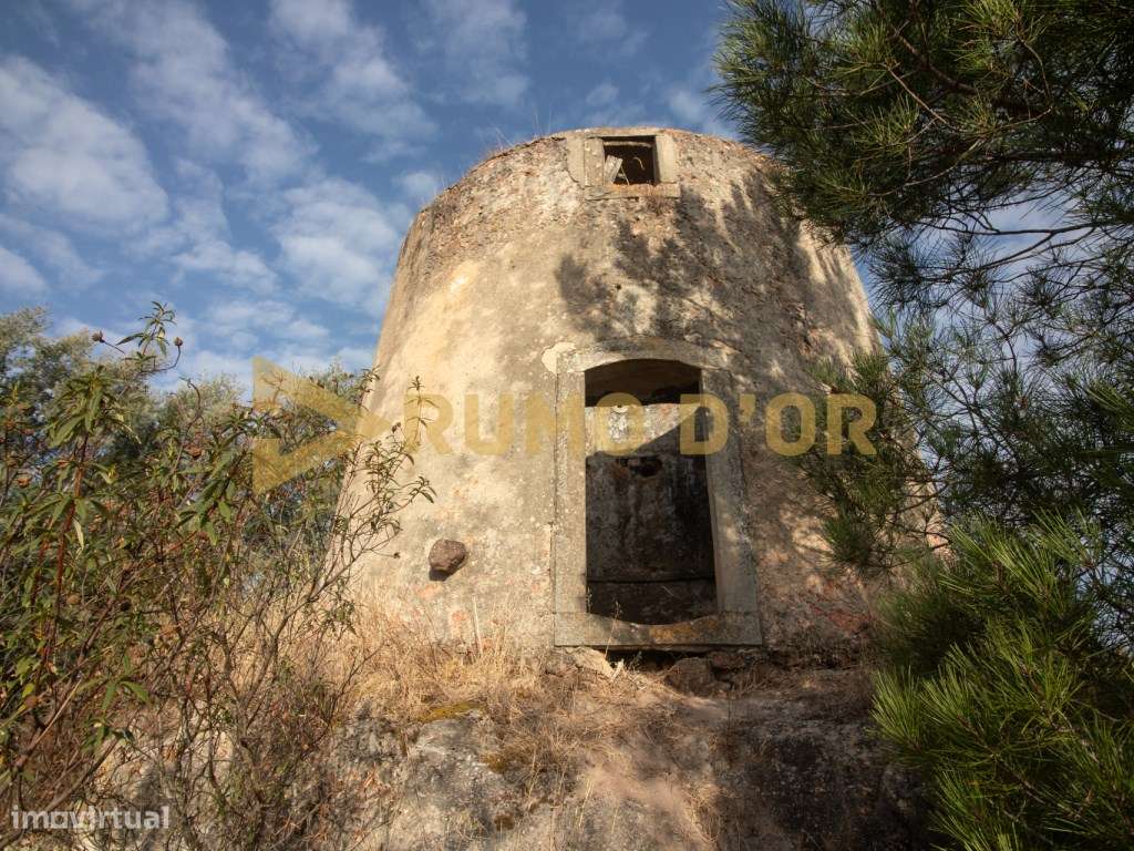 Moinho em Surraipas, Pocariça-10