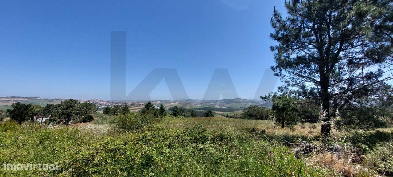 TERRENO COM VISTA MAR - LAGOA - SANTO ISIDORO - Grande imagem: 5/19