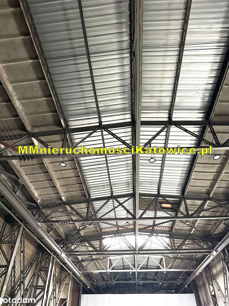 Hala produkcyjna do wynajęcia Chorzów ogrzewanie suwnica brama TIR - Pełny obrazek: 5/9