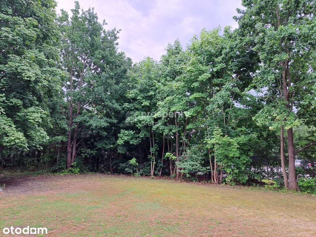 Działka inwestycyjna 4800 m2 z domem BEZ PROWIZJI-0