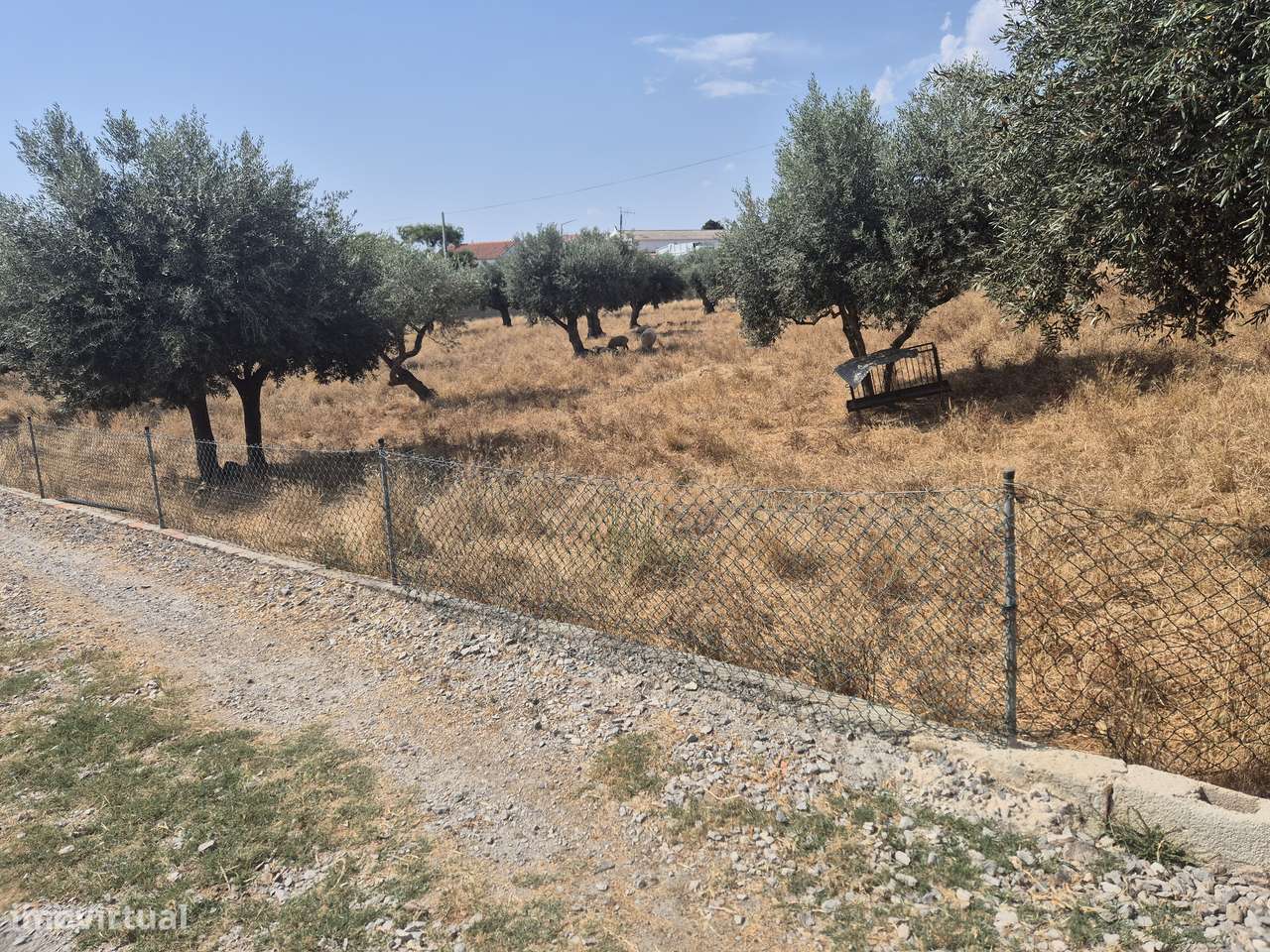 Quinta V5 com 15.000 m2 em Ourique-32