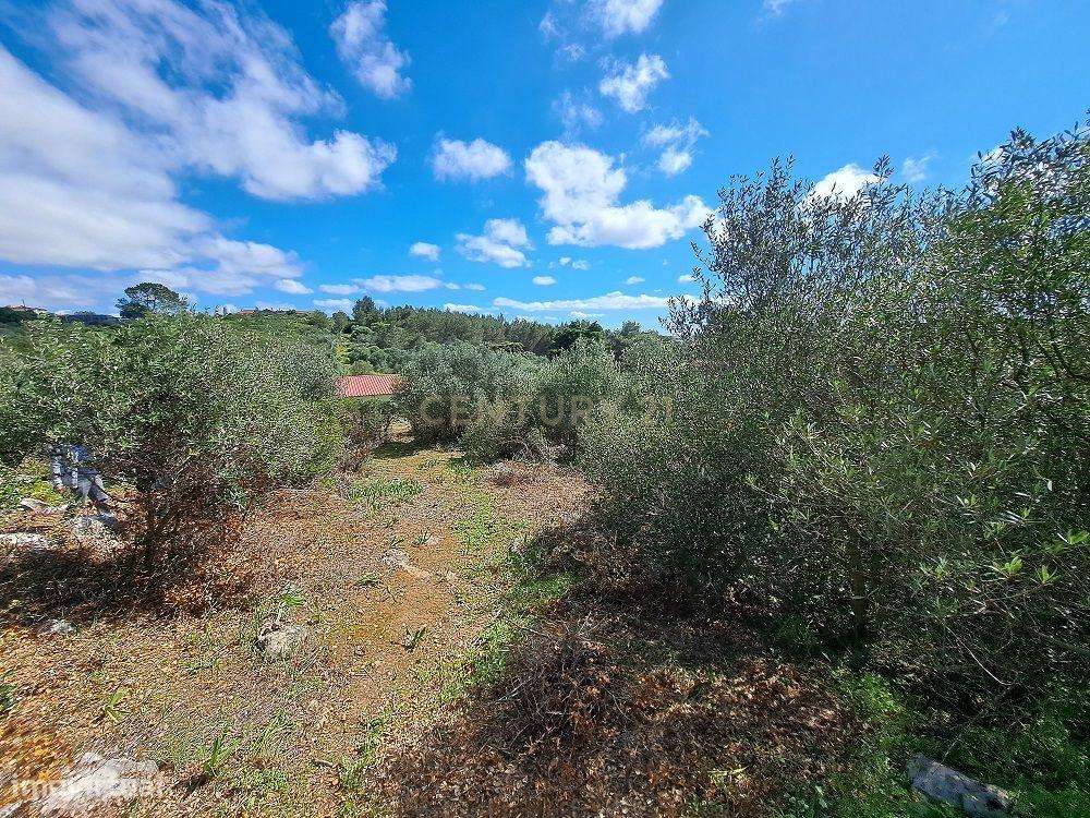 Terreno Industrial à venda Manique - Grande imagem: 3/8