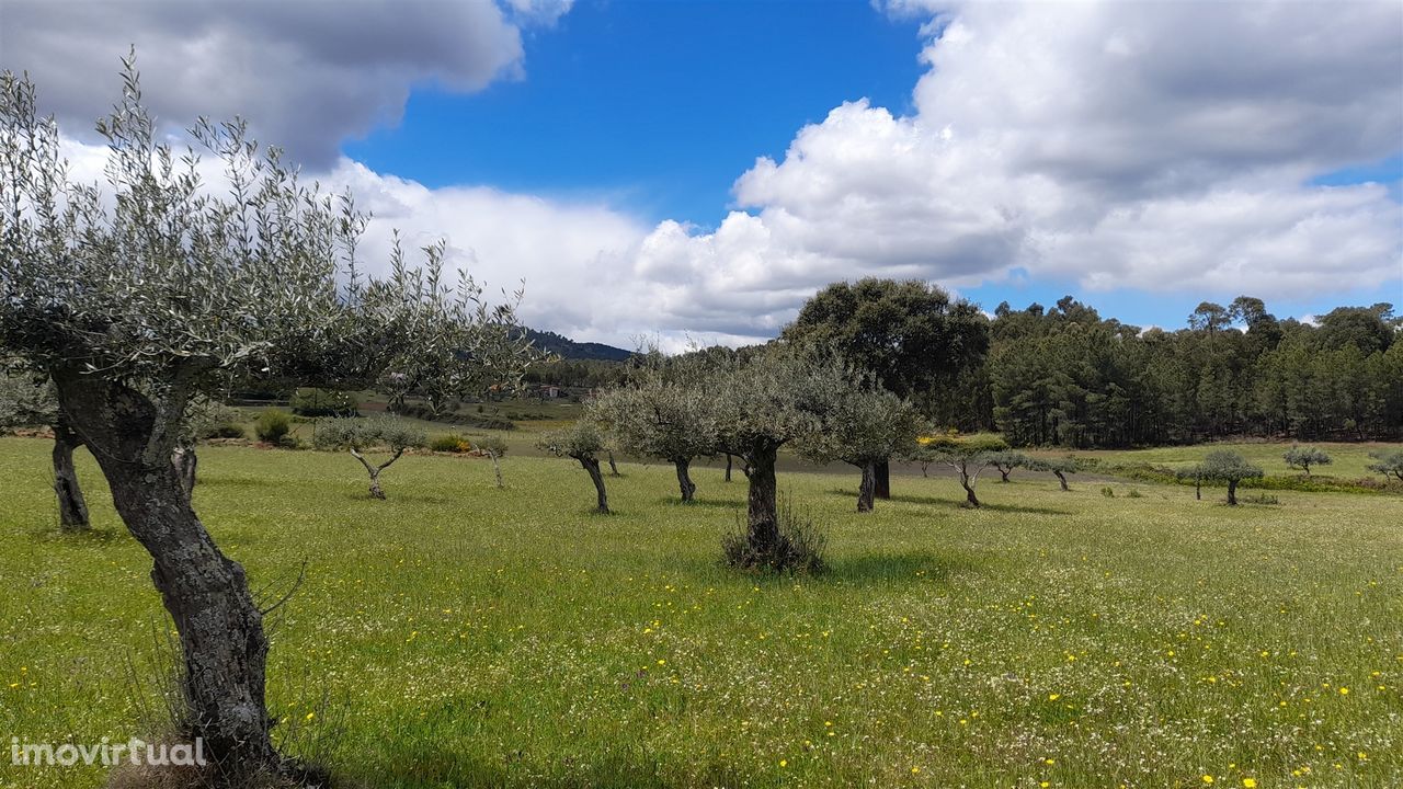 Quinta  com 2,14Ha em Quintas da Torre, Fundão - Portugal