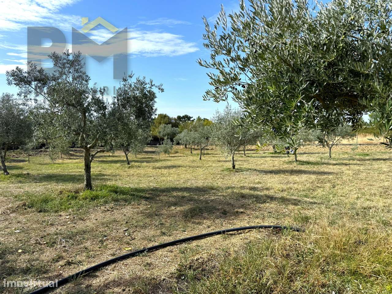 Quintinha  Venda em Cebolais de Cima e Retaxo,Castelo Branco-16