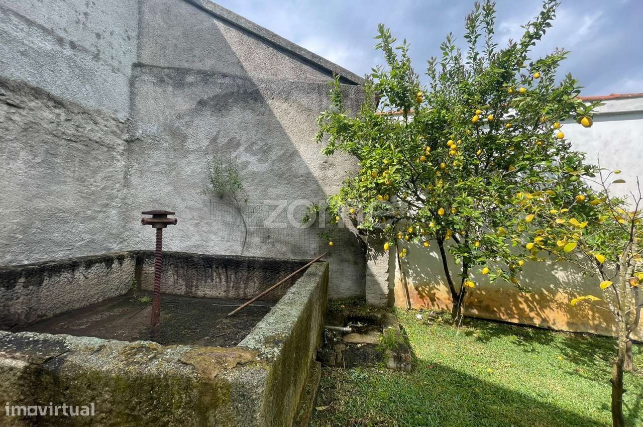 Quinta com Moradia V3 de 2 Pisos, Garagem e Olival – São Pedro, Vei...-29