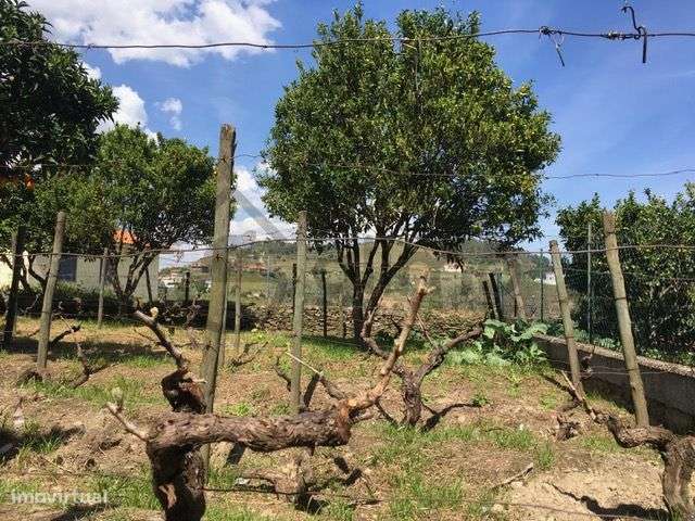 Casa com Terreno em Vilarinho de Cotas, Douro-31