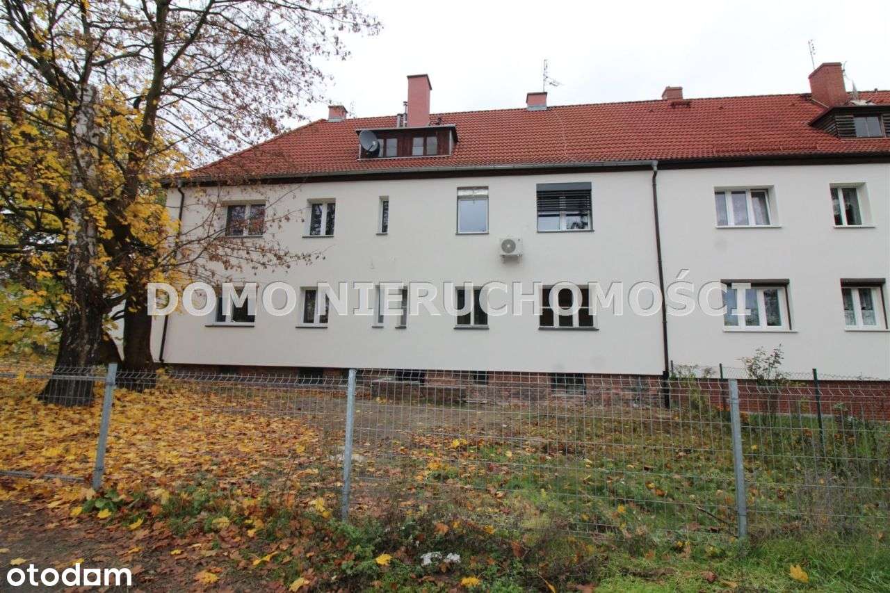 Parter na Pogodnie, ogród, piwnica, strych-1