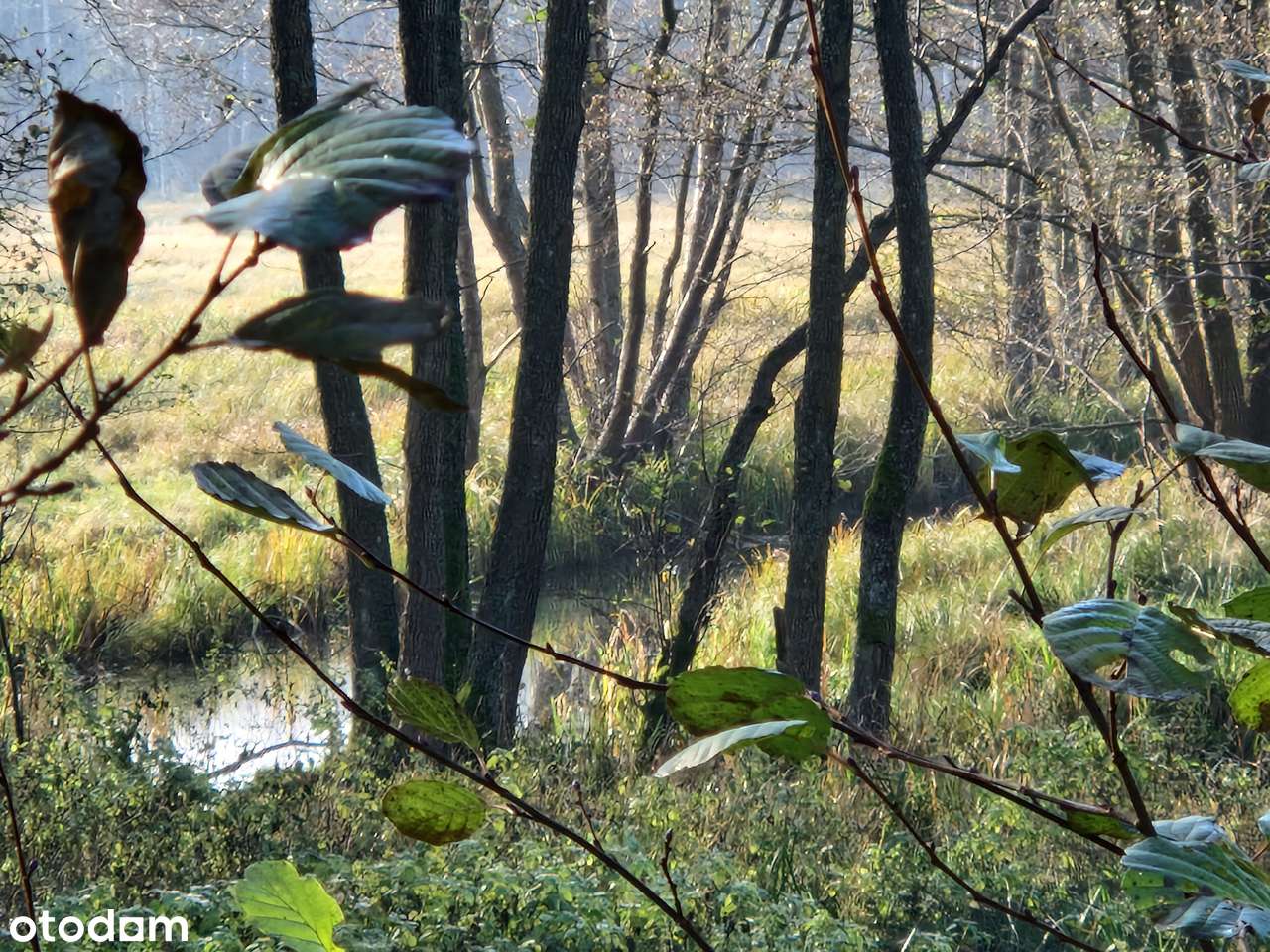 Działka na Kaszubach lasy, rzeka Zbrzyca, lasy, lokalizacja-4