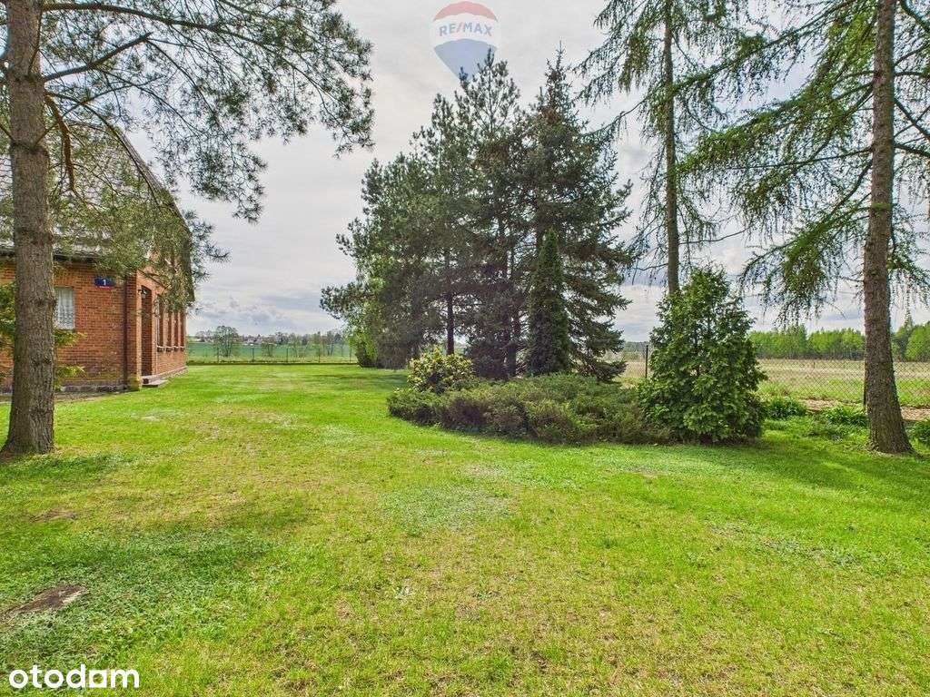 Dom po starej szkole z dużą działką - Pełny obrazek: 5/20