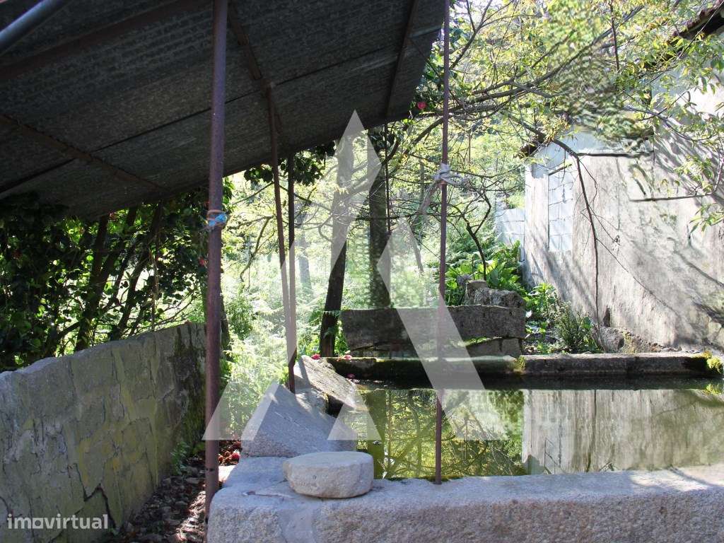 Quinta T6 histórica para recuperação, Guimarães.-22