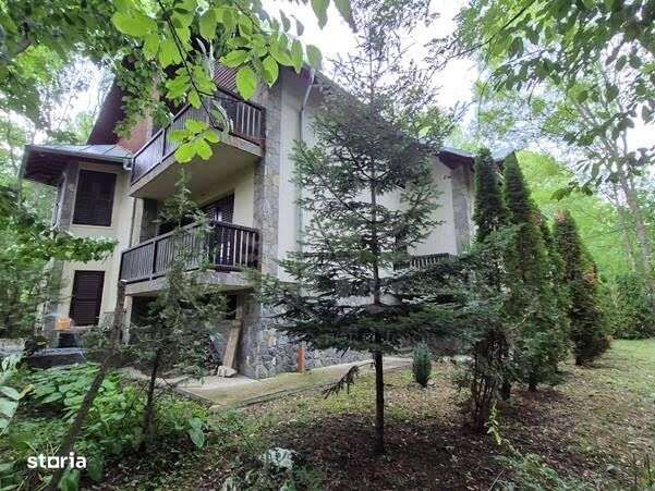 CASA DE VACANTA//CORNU DE JOS - Imagine principală: 5/9