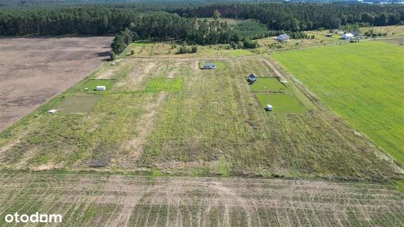 Mostki - działka w pobliżu lasu i jeziora - Pełny obrazek: 4/11