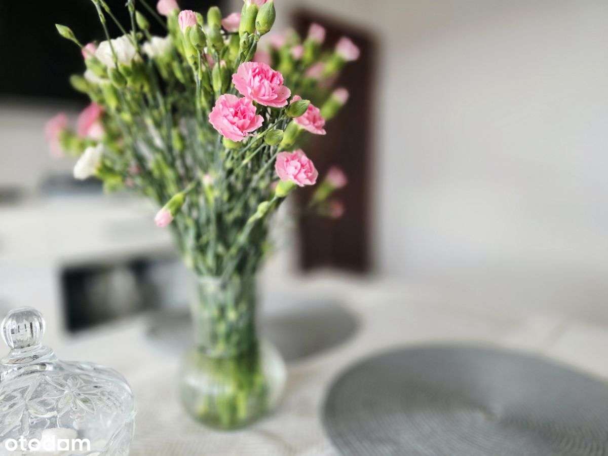 M-4 w układzie szwedzkim ul. Barbary! - Pełny obrazek: 3/14