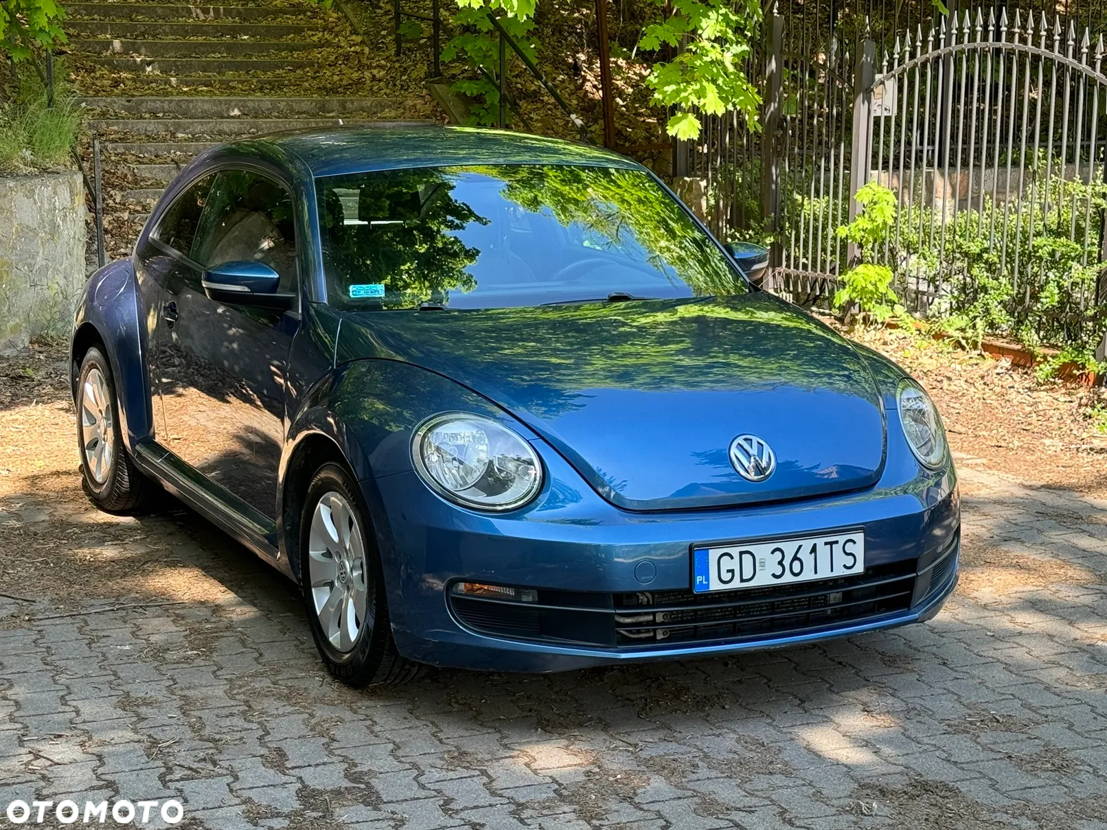 Volkswagen Beetle - 14