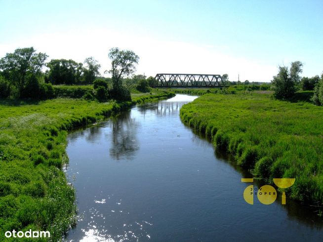 Działka z linią brzegową nad rzeką Supraśl, Dzikie