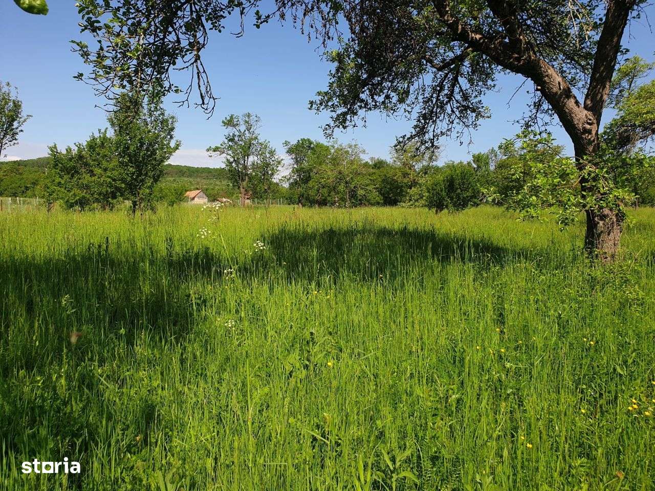 Parcele de 1000mp cu PUZ in curs de constituire Padureni COMISION 0%-5