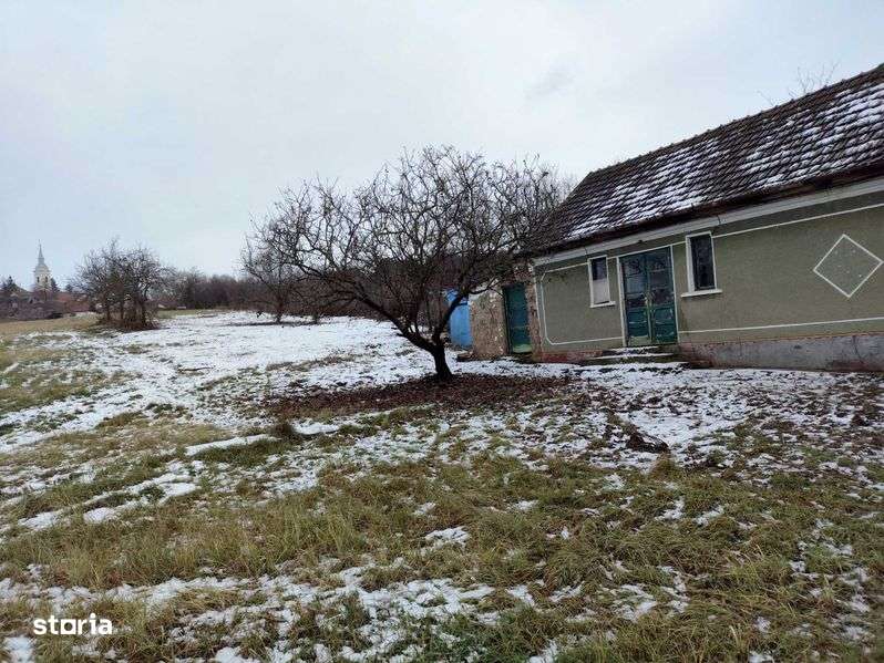 De vanzare teren 951 mp cu casa in centru Paleu Bihor - Imagine principală: 4/8