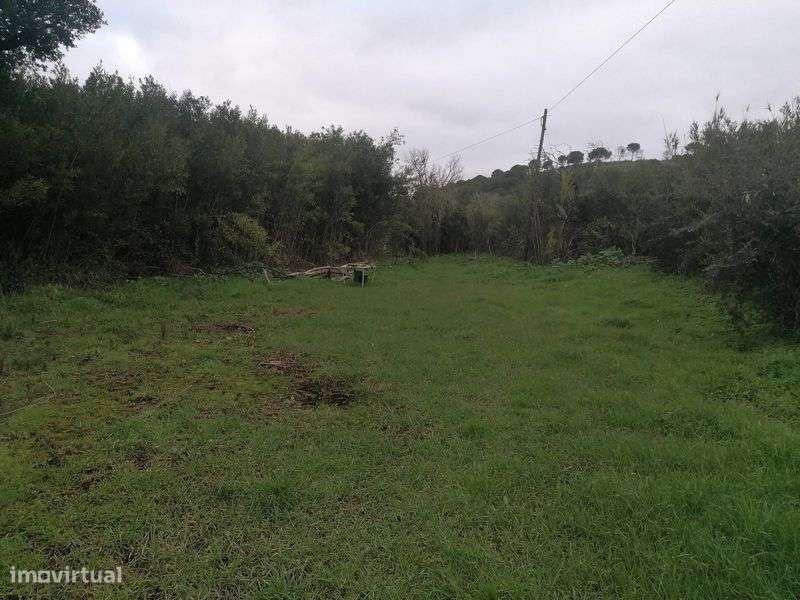 Terreno 12ha misto com possibilidade de turismo rural Bensafrim - Grande imagem: 4/8