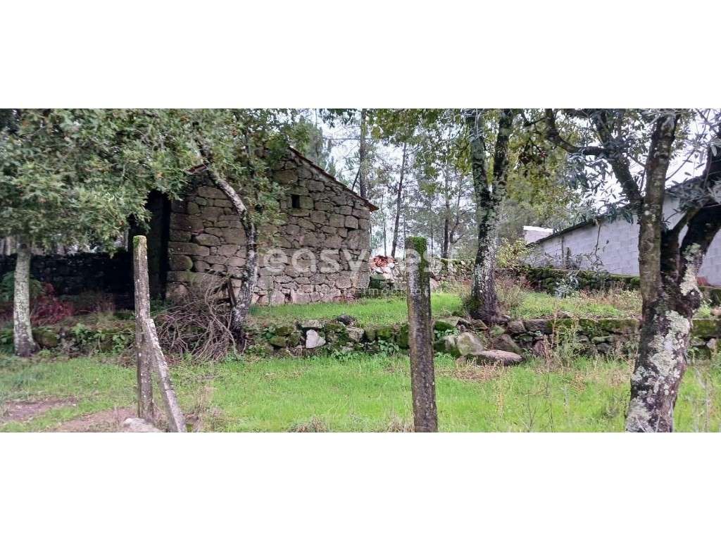 Espetacular terreno com edifício de apoio agrícola-Viseu Portugal - Grande imagem: 2/19