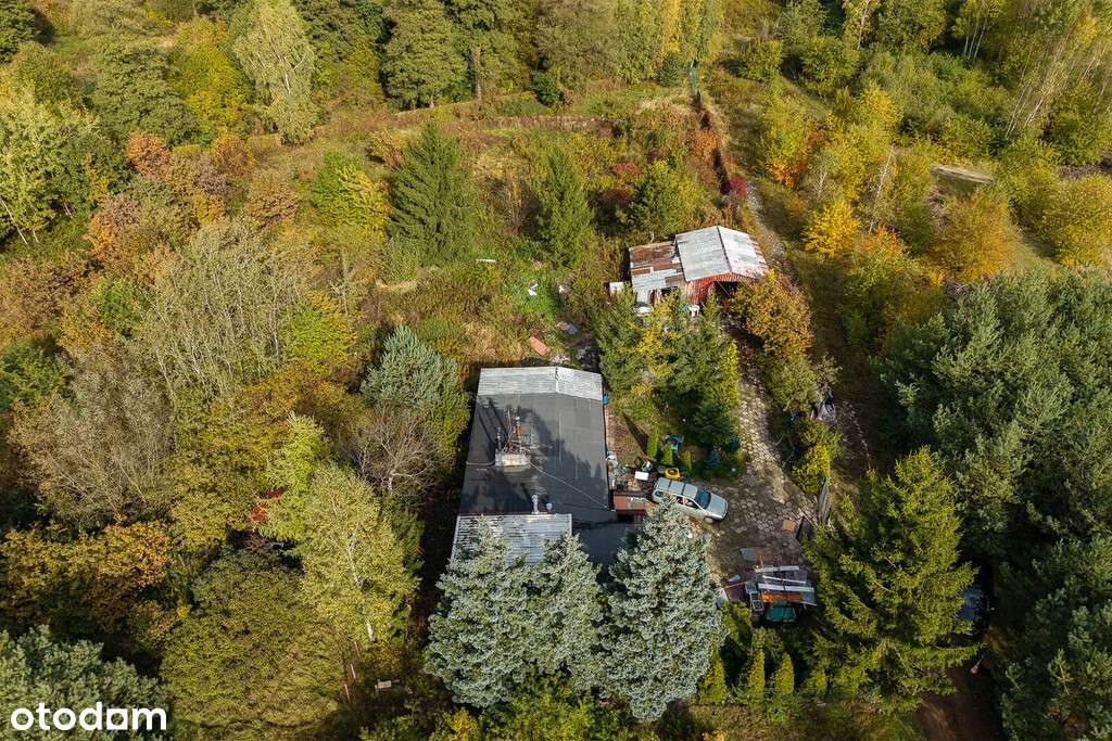 Działka z potencjałem inwestycyjnym, Lublinek 6600 - Pełny obrazek: 5/6