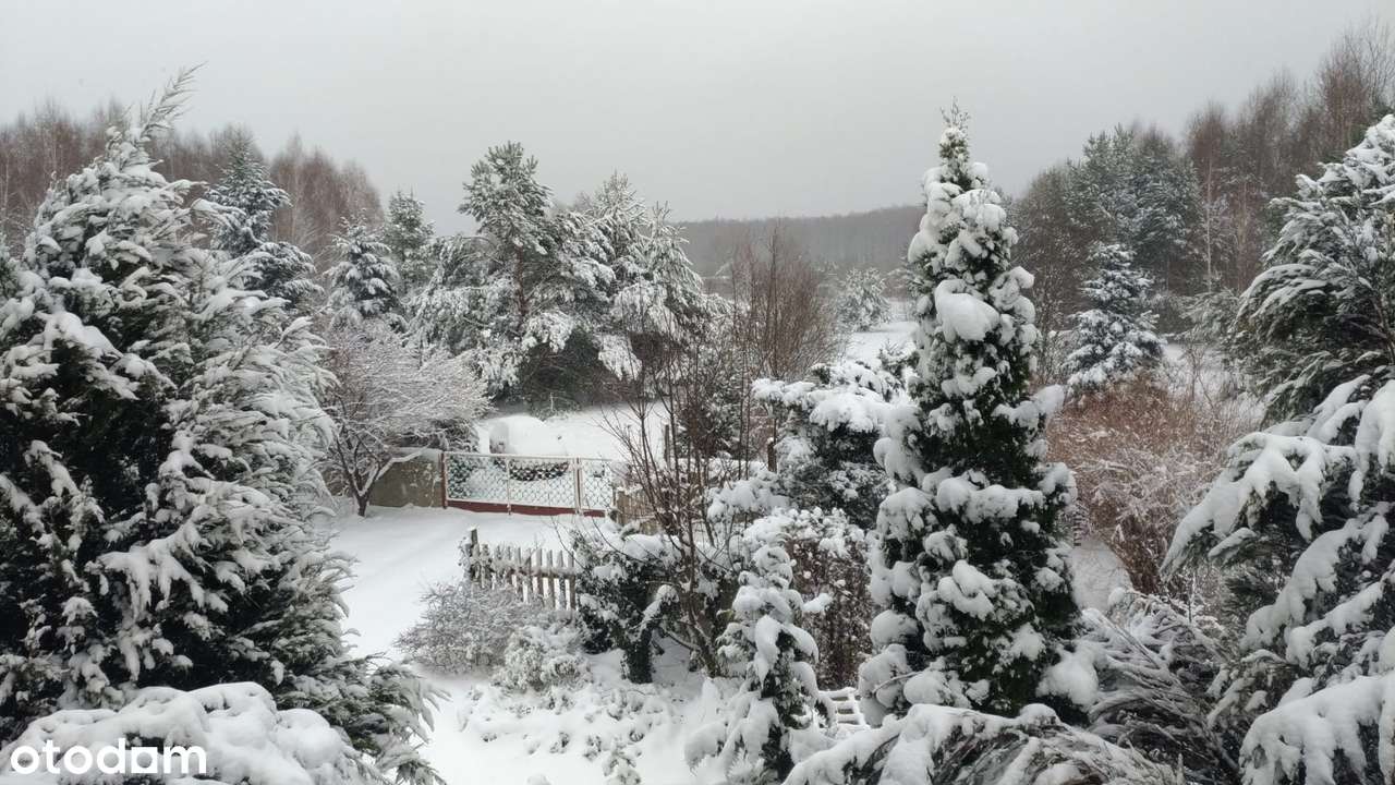 Urokliwa nieruchomość w gminie Radziejowice-19