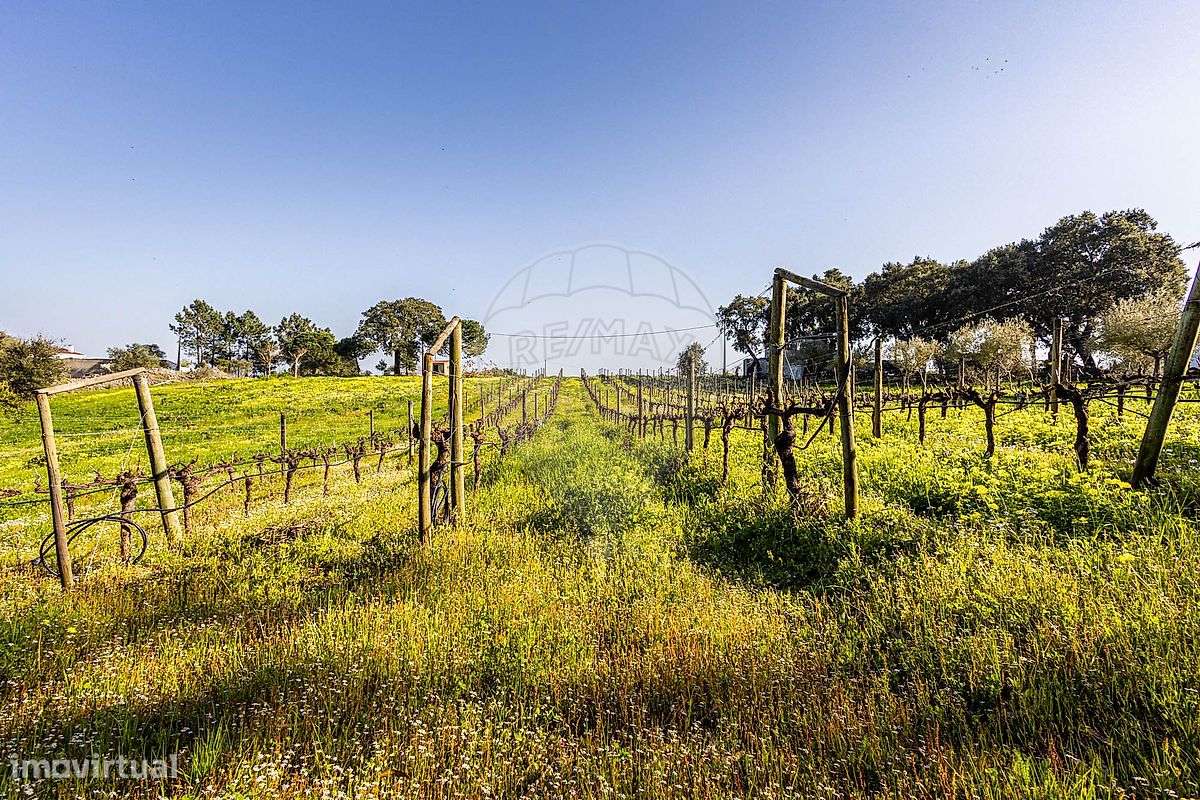 Terreno  para venda - Grande imagem: 4/35