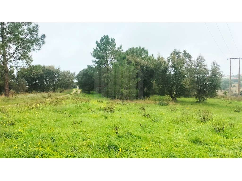 Terreno em Sesimbra, Castelo - Oportunidade de Investimento - Grande imagem: 4/4