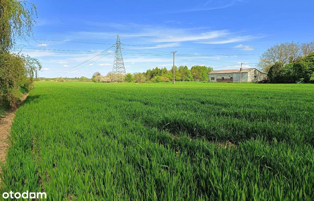 Działka budowlana 2 km od Zamościa, Chyża Kolonia - Pełny obrazek: 4/11