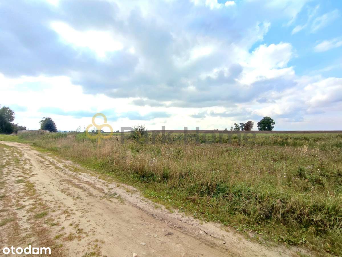 Urokliwe miejsce blisko jeziora/ 715m2/ Nowieczek - Pełny obrazek: 4/5