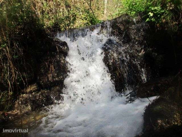 Quintinha para restauro em Ribeiros, Fafe - Grande imagem: 5/30