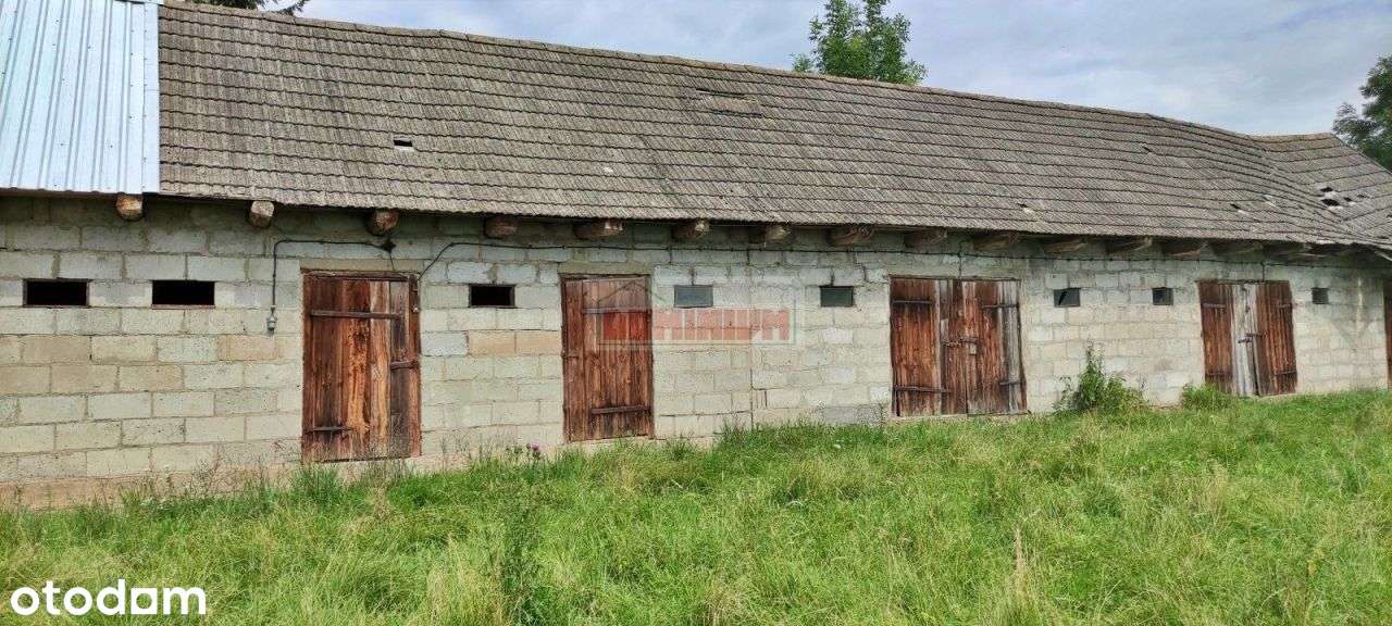 Dom, Działka i Las W "Krainie Otwartch Okiennic" - Pełny obrazek: 5/11