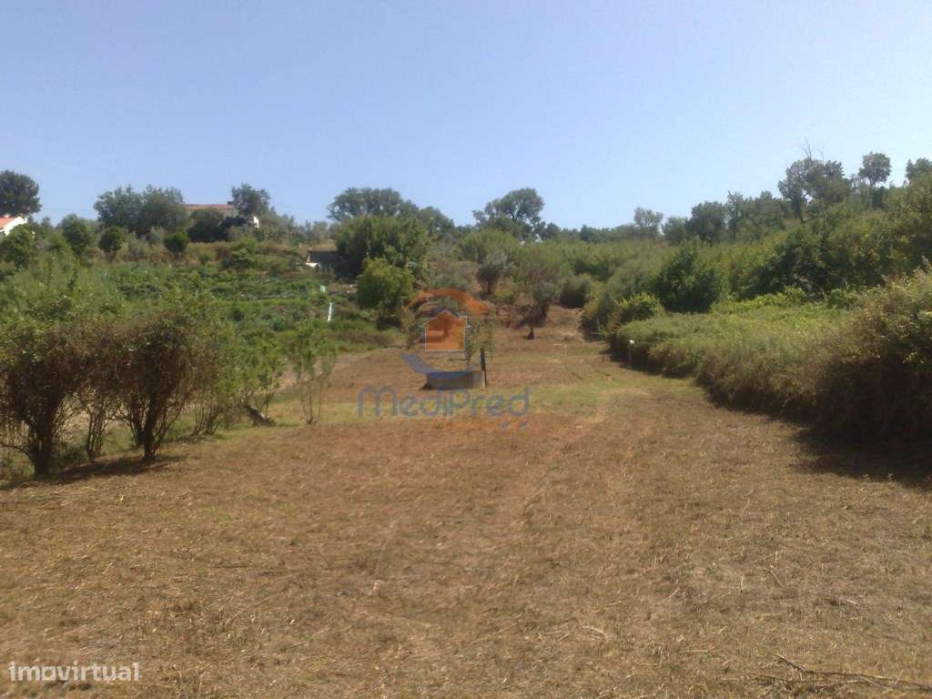 Lote de terreno com 3000m2 em Pinheiro Grande - Grande imagem: 5/60