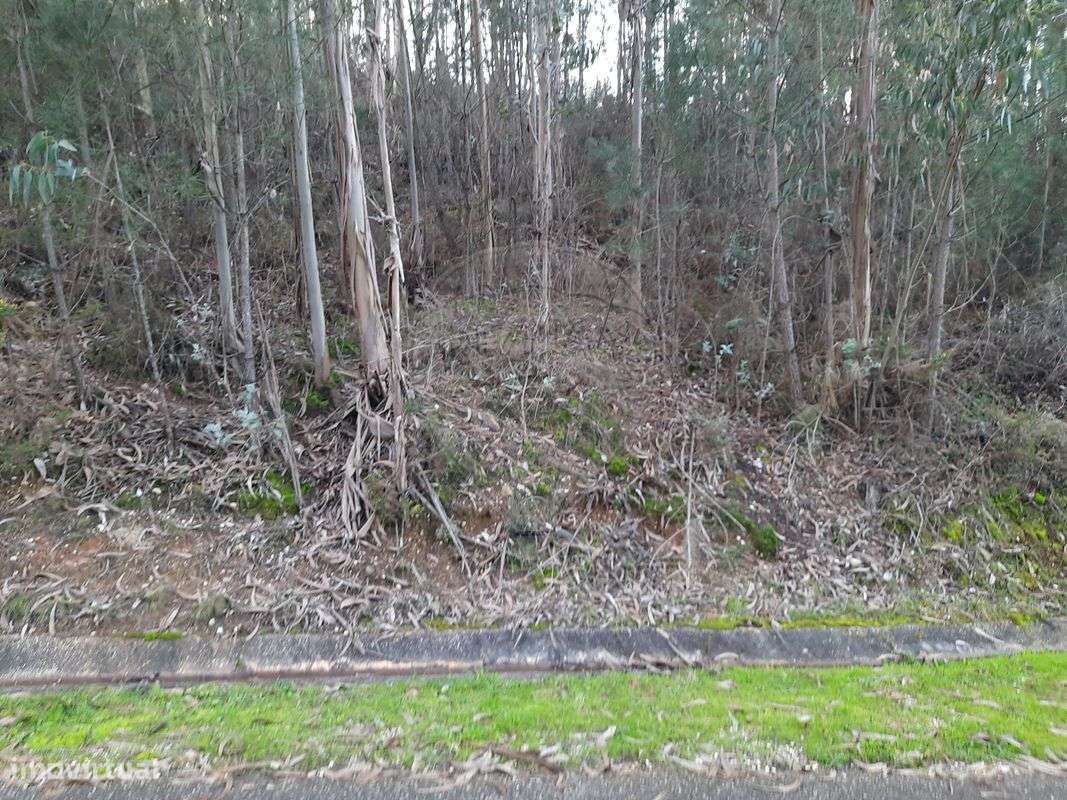 Terreno  para venda - Grande imagem: 2/4