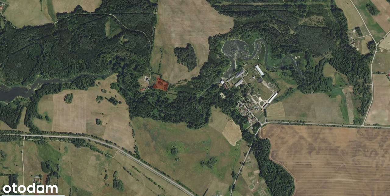 Atrakcyjna działka 4 891m² - Główka, gm. Gołdap - Pełny obrazek: 5/5