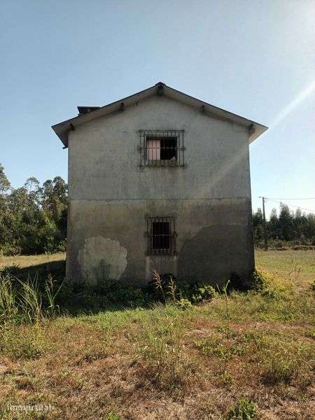 A quinta dos seus sonhos - Grande imagem: 5/8