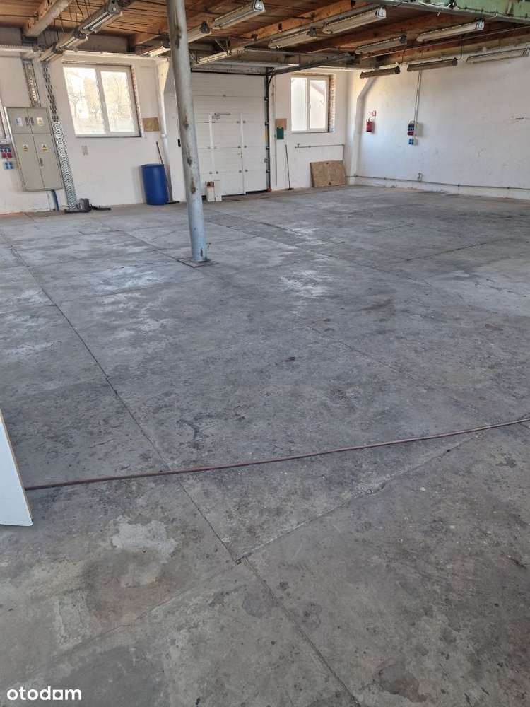 Hala plac biuro - Pełny obrazek: 4/6