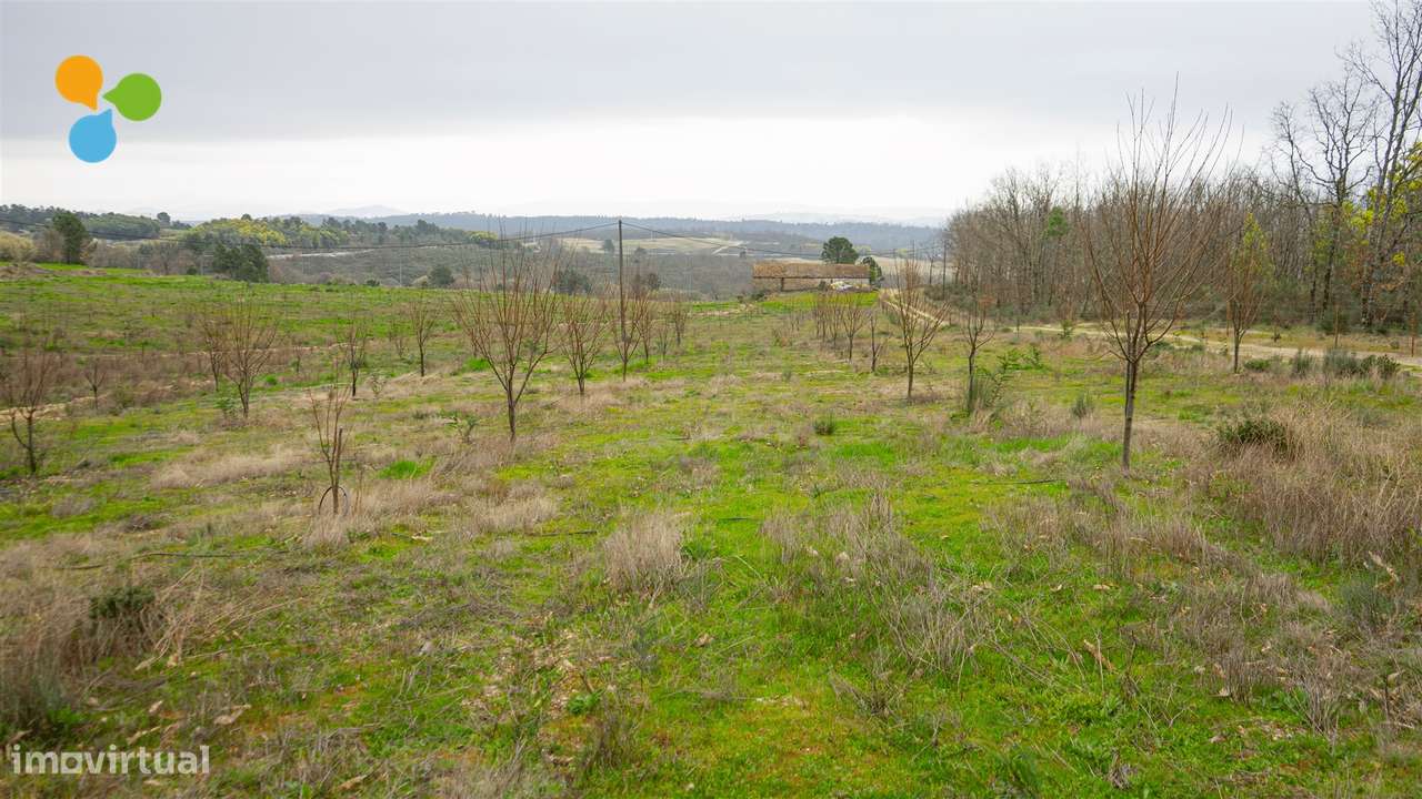 Quinta em Terlamonte – Covilhã - Grande imagem: 3/6